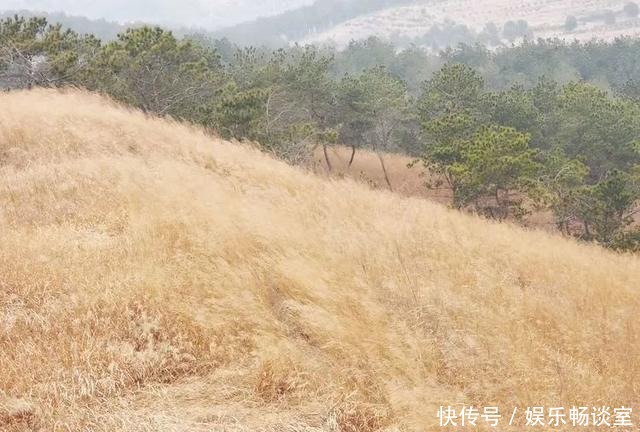 故乡山，家乡情