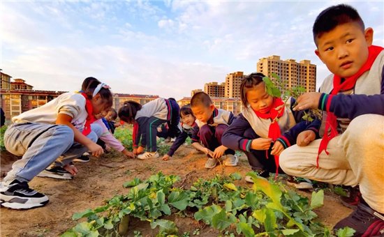 少先队员|“请党放心 强国有我 ”汶泉学校红领巾田园教育活动侧记