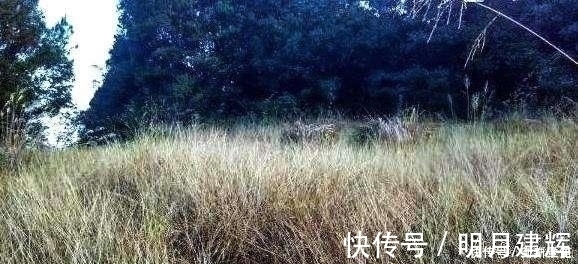 青山绿水|发现深山老林的无人村,这里却是风景优美,青山绿水