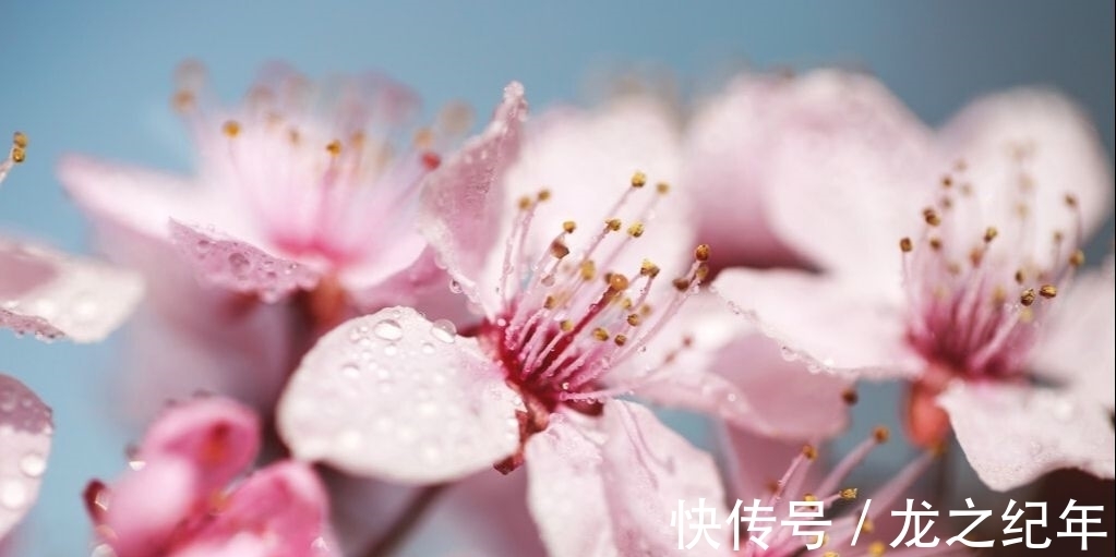 苕溪!杏花消息雨声中。陈与义备受宋高宗激赏的一首诗,读来心生安暖