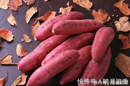 柿子|它是痔疮的“特效药”,每天吃一点,清热解毒,消除痔疮难复发
