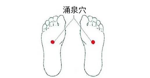 进补|冬季养生进补时，虚不受补怎么办？
