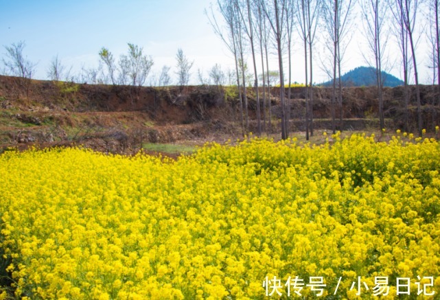 贵人|未来一年运势“开花结果”，贵人拥护，谷底翻身，财运源源的生肖