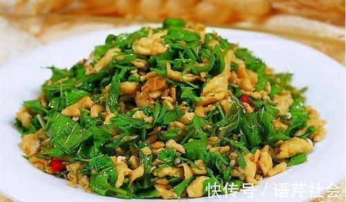 香椿|想长寿全靠吃，三种食物离不开，养护血管，健脾养胃，增强体质！