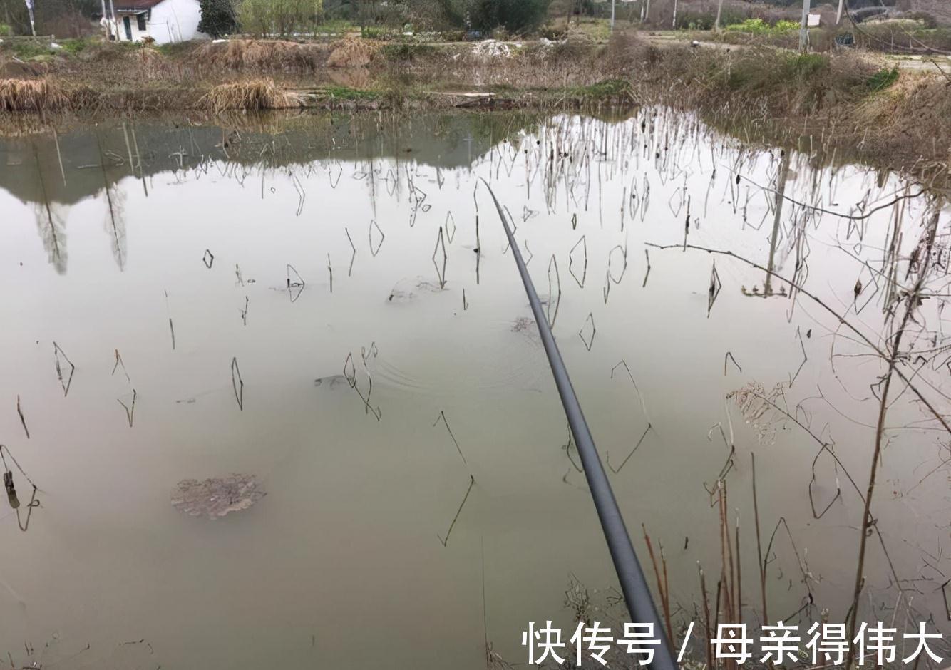 为何别人冬钓连杆,自己鱼口全无,走开这几个误区,连杆其实不难