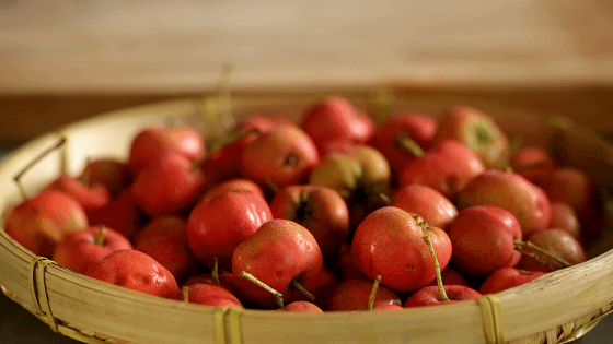 核桃|秋季养生有诀窍,牢记“5宜2忌”,养肺、养肝、养脾胃,全家安康