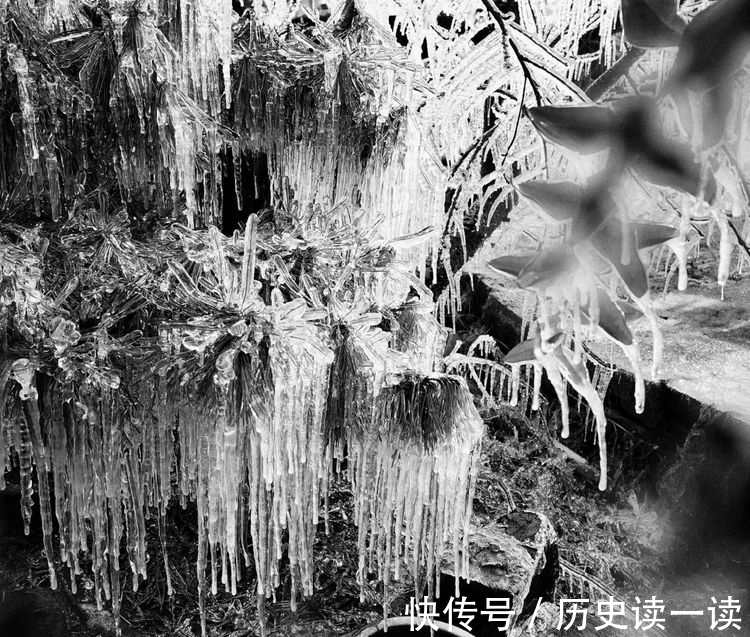 汪洋#七绝 三九吟(外四首)