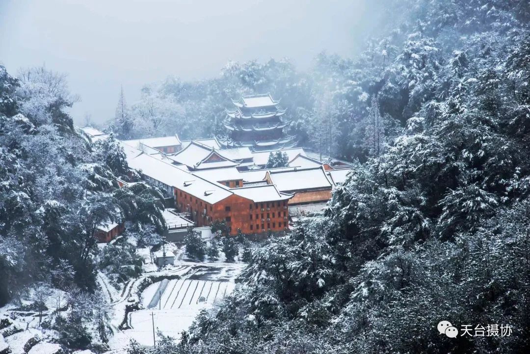 许琼|快看,又下雪了!