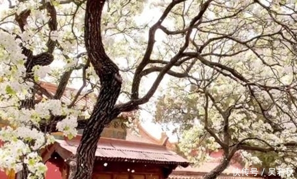 寒雨连江夜|30个千古名句的出处,终于找全了