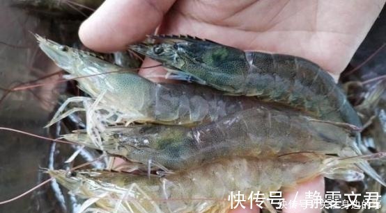 高低|买大虾时，不分价格高低，发现这3种尽量不要买，为了健康快看看
