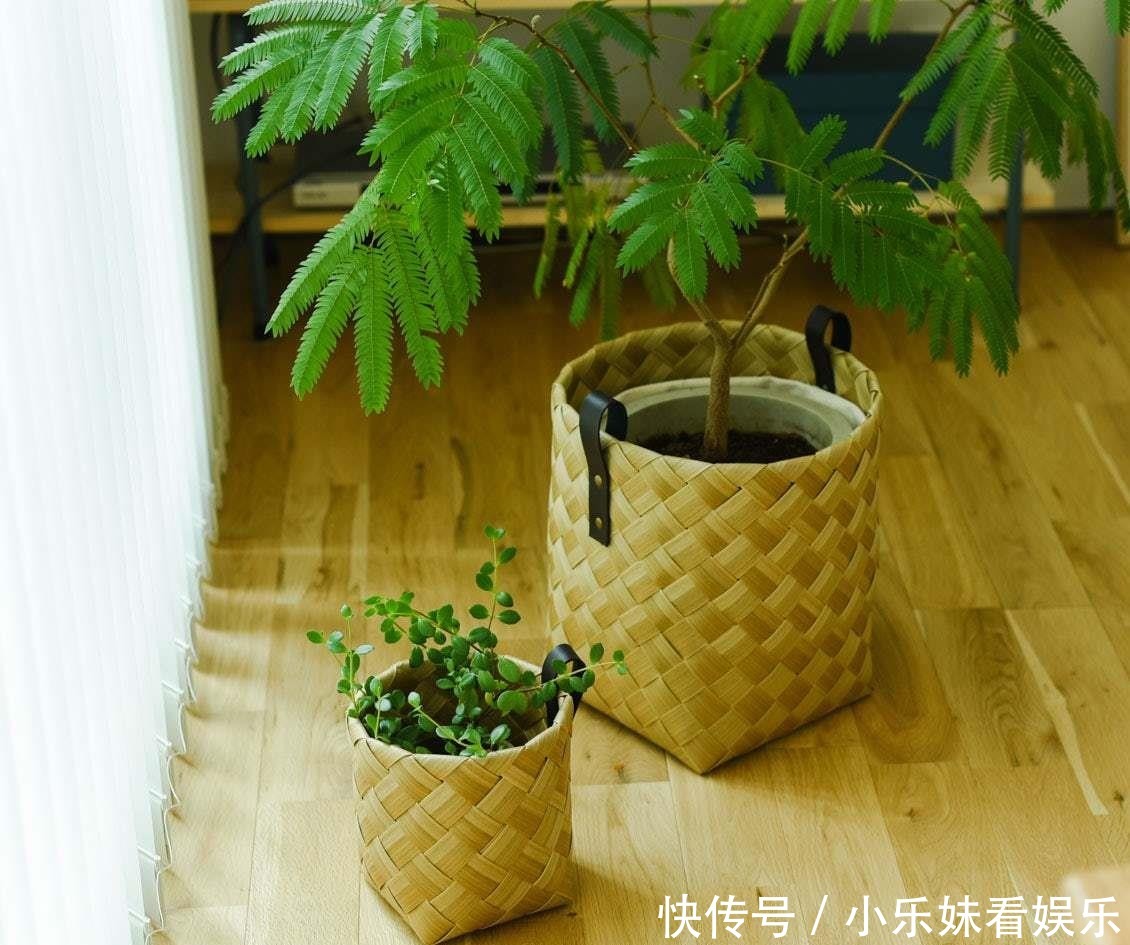 收纳|日本太太的家居晒照,温馨美好,网友:这才是向往的家居装修