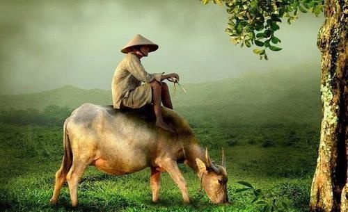 不妨|俗语“老人有三项,必定招人嫌”,哪三项想成为家中宝不妨一看