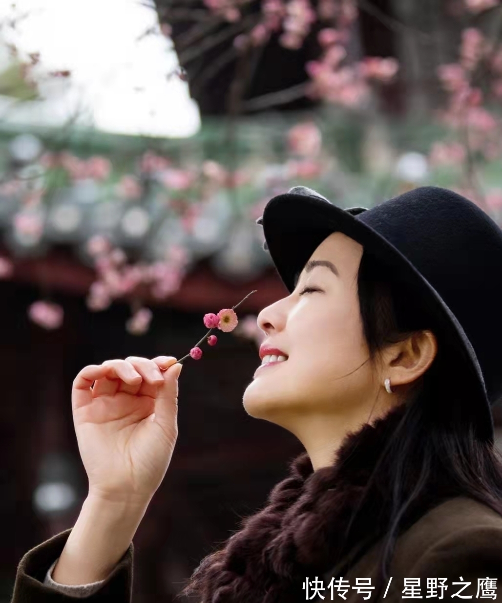 百味人生$七言格律:已将夙愿酬新月,妙有真空没齿嵌