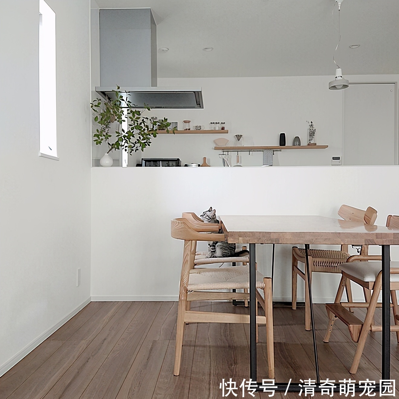 日本太太坚持一天收拾一个区域,家里整洁有序,真的很治愈