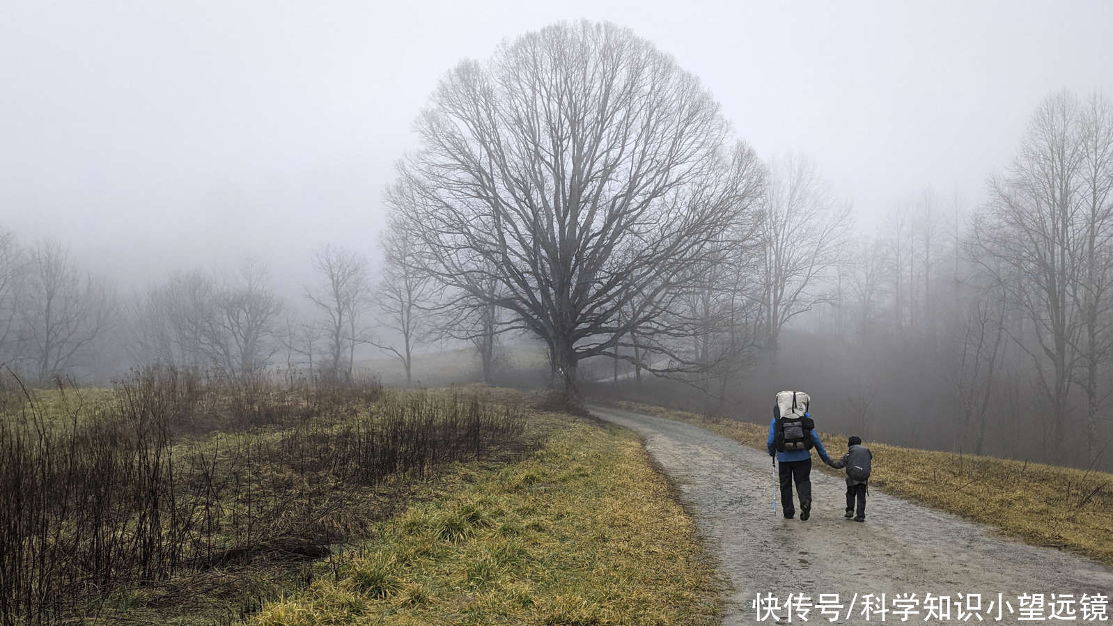 哈维|5岁男孩耗时209天走完3500公里徒步旅程