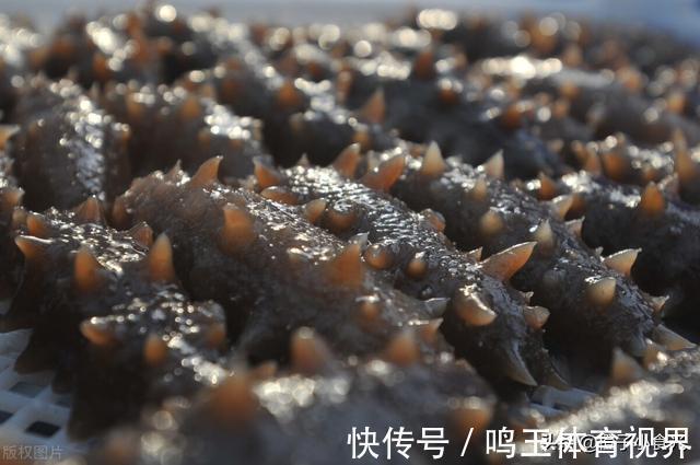 海胆|中老年人别舍不得花钱，少吃肉多吃这5种食物，营养美味身体棒