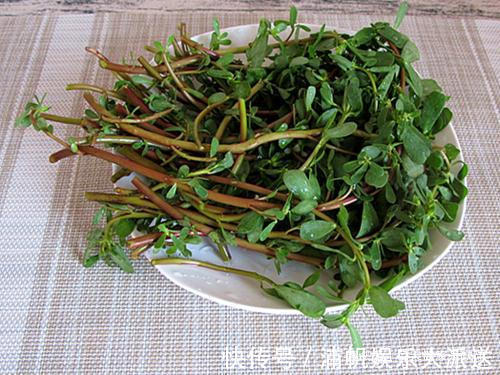 消炎|天然“青霉素”被发现了,没事吃两口,消炎杀菌,提高免疫力