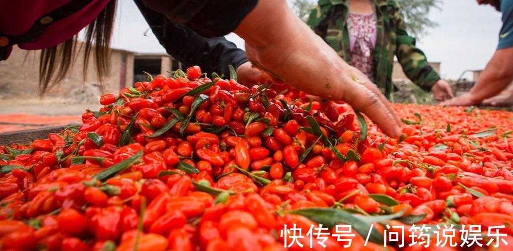 食用枸杞|立秋后，晚上常用此果泡水喝，补益气血，美容养颜，常喝更显年轻