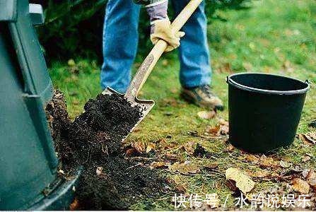 换盆的旧土你都扔了这么做，再板结都能变成肥沃黑土！