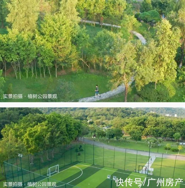 天樾193|别傻了，1000万买不到凯旋，但能拿下这天际平墅