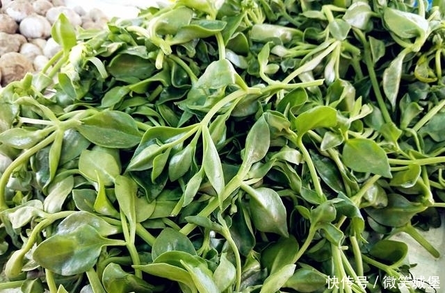 棒棒|夏天最该吃这菜,消暑解热毒防流感,孩子吃了不感冒,身体棒棒的