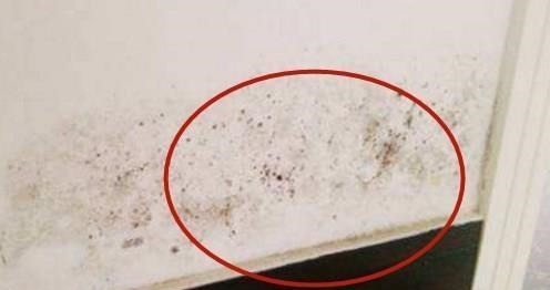 黄蜡管|新房装修敢甩手不盯紧11大施工细节,处处遭偷工减料,被坑3万!