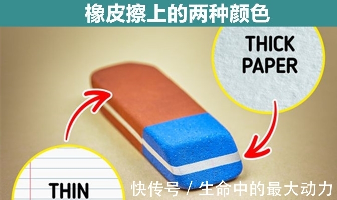 常见的9个物品背后,隐藏着许多人并不知晓的有趣用途