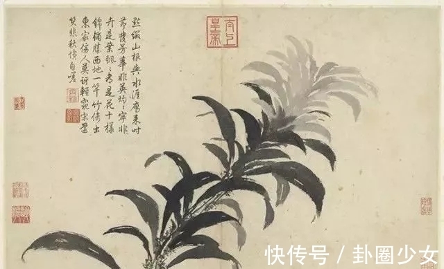 观物写生册&明代对景写生大家|沈周花鸟画《观物写生册》