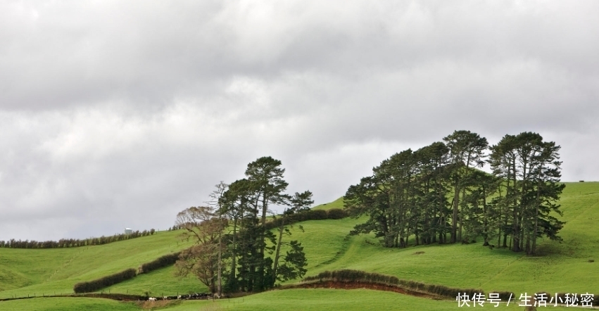 新西兰独特的“光脚”文化,多数人出门不爱穿鞋,始终光着脚丫