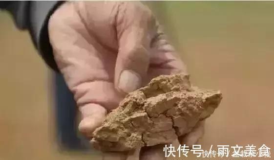 浇花|盆里灌点饮料,盆土疏松有营养,10年不用换土花也长得旺