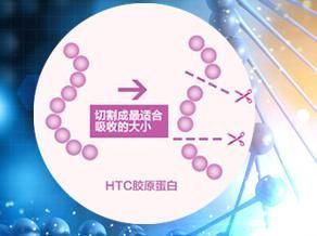 小可爱们|胶原蛋白VS玻尿酸，拿什么拯救这张不想衰老的脸