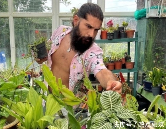 英国男子不爱出门，却酷爱养植物，花费5.4万人民币打造室内丛林