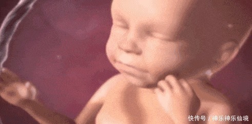 笑声|8个月准妈妈做产检,检查时大夫发出笑声,孕妈看我怎么收拾你