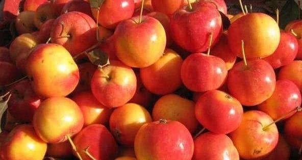 护肤|爱美女性坚持吃3种食物,美白护肤、延缓衰老,好吃又健康!