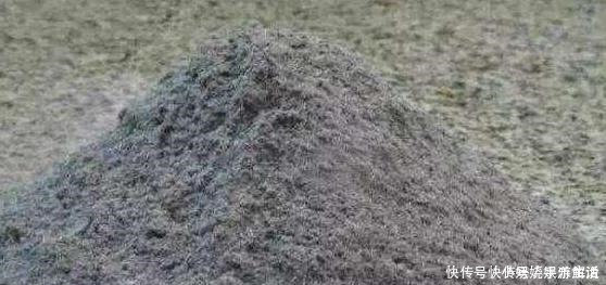 花卉|养花需“氮磷钾肥”怎么办别再花钱买了,上厨房找找全都有了!