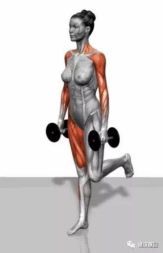 肱三头肌|肌肉群锻炼动作示意图，想练什么对号入座！