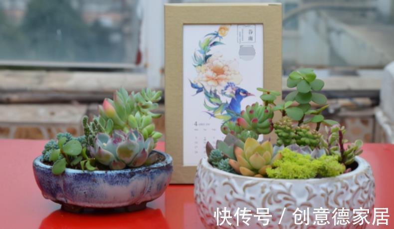 木炭|木炭养花小知识:消菌杀毒、明确目的和用法,一步都不能少