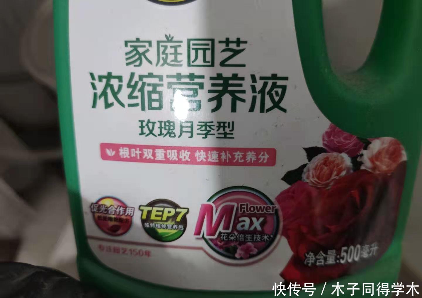 养花施肥不用多,3种肥料管一切,叶子油亮花开多