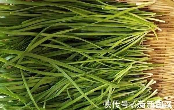 韭菜|这菜是公认的“长寿菜”，2元一斤人人都吃得起，要多做给爸妈吃