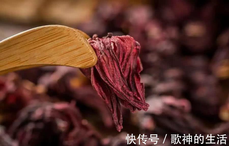 养颜|此花有玫瑰茄的称号,是极品养颜神品,营养价值丰富