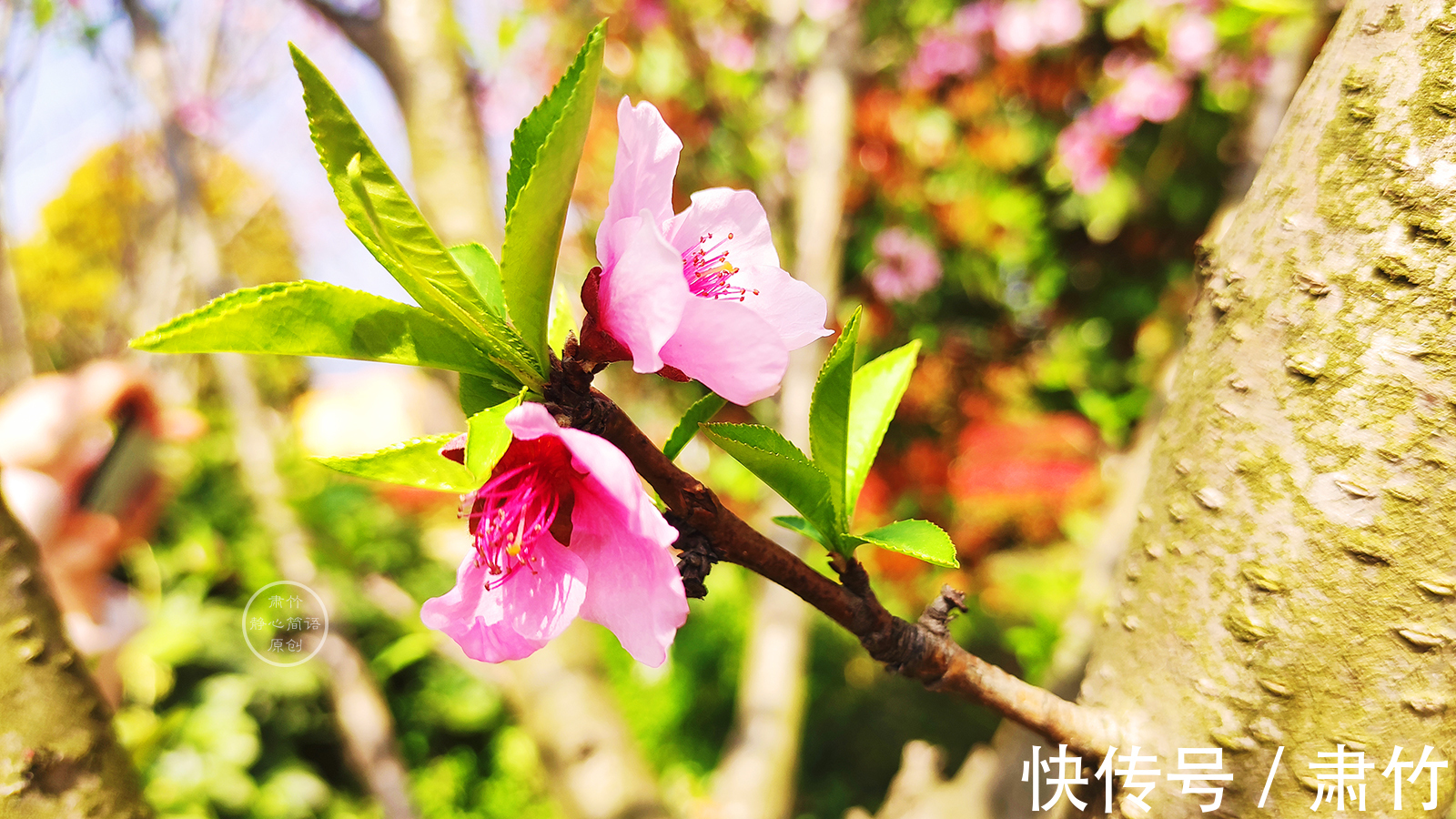 媒戒|你把别人的痛点抓在手中,人家会爽吗