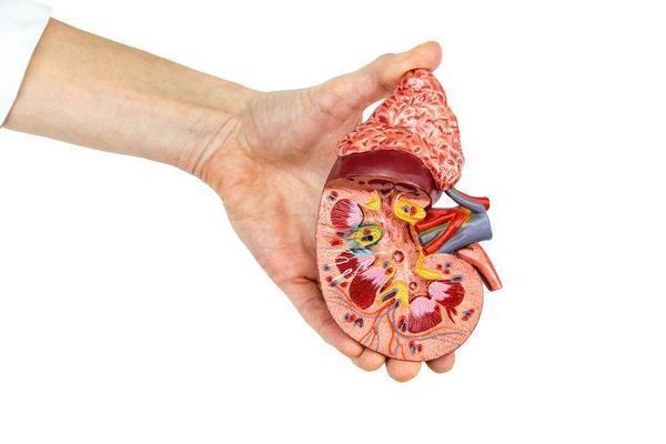 血管壁|血压高而不知?医生:身体这3个部位发生异常,说明高血压已缠身