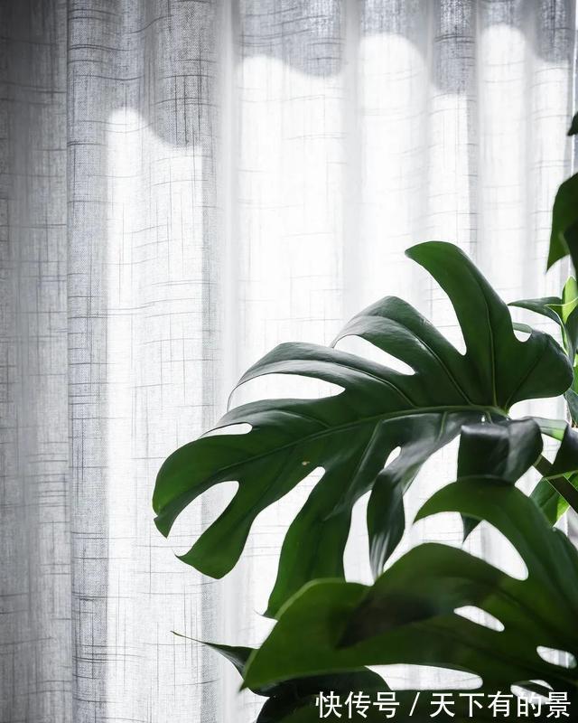 小白砖|67㎡长条户型靠开放式大两倍,也太通透了吧