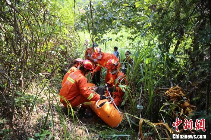 救援人员|湖北黄冈：驴友探险不慎跌落 多方力量救援