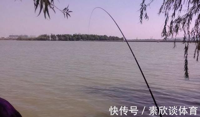 口诀|学会这三句口诀,浮漂一动就提竿,竿竿都有口