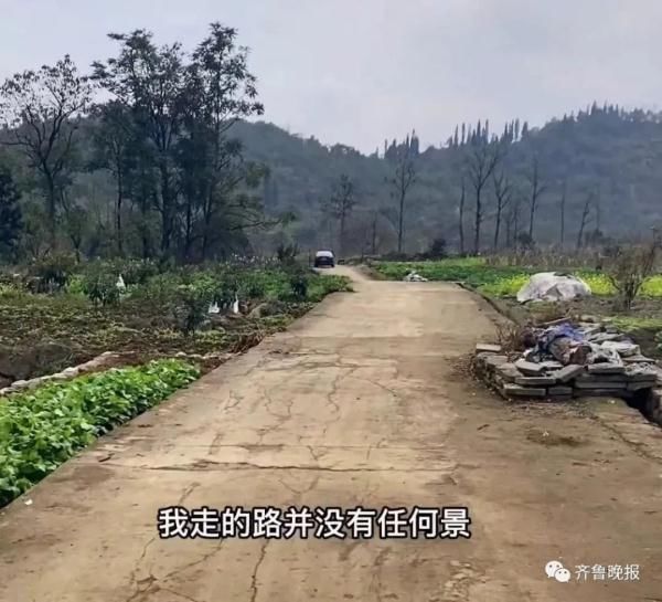 景区|又有旅游博主发布景区“逃票”攻略？众网友谴责，相关部门已调查