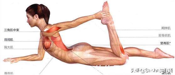 瑜伽|不用整容就可以带来全新改变的瑜伽,解锁半蛙式越练越年轻