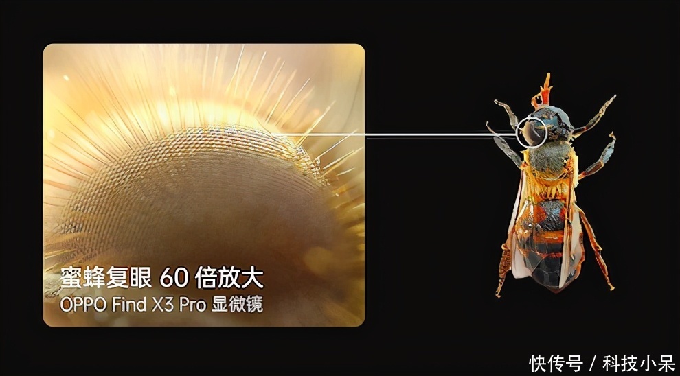 黑洞新照曝光!比兩年前細節更高清,人類探索宇宙又近一步