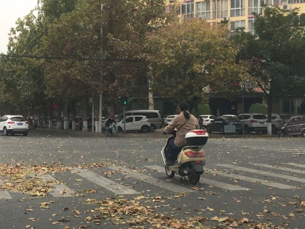 降雨|降温+大风+降雨,气温要将至个位数啦!