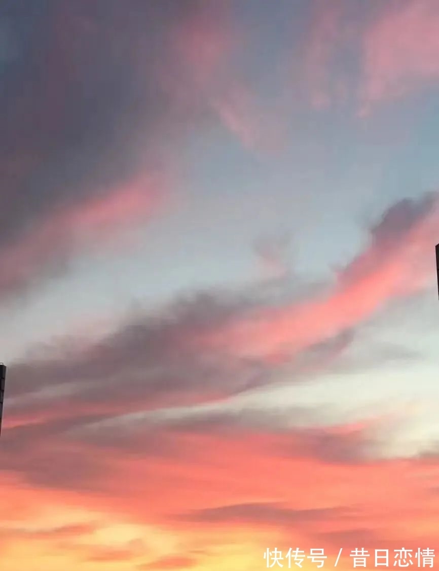 诗句|当年背到头秃的古诗,瞬间读懂了……